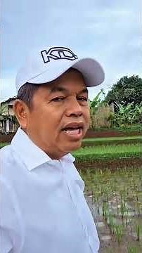 sekolah maung ppdb murid baru sman 3 bandung 2026 kdm dedi mulyadi