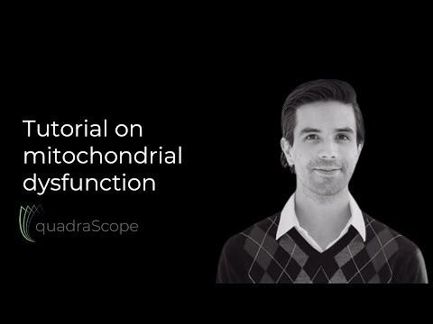 Mitochondrial dysfunction