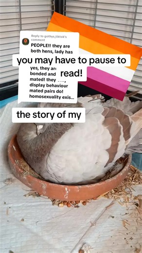 Gothys (@gothys_tiktok)’s videos with Funky Town Low Quality - Low Quality Music