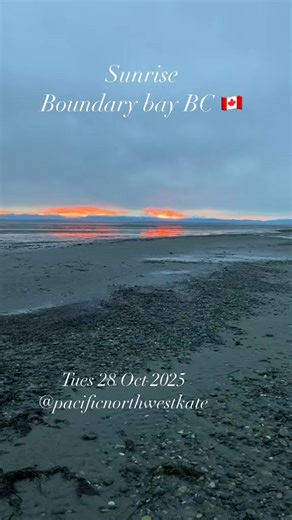 14 reactions | Sunrise 28 Oct 2025 Wild Vancouver - virtual nature walks with Pacificnorthwestkate | Pacificnorthwestkate | Facebook
