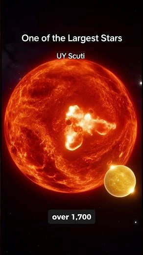 Stars Bigger Than the Sun 🌞🤯 #stars #universefacts