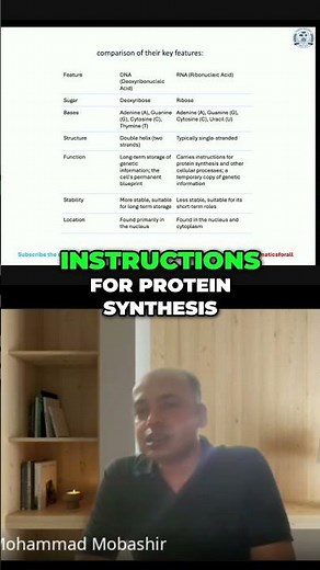 DNA vs RNA & Key Differences Explained #videos #education #biology #video #neet #science