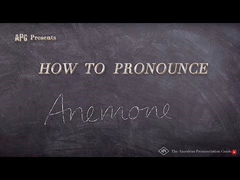How to Pronounce Anemone