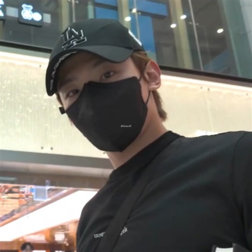 Exploring Japan with Dex | Day 1 Vlog