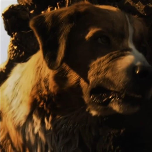 The Day Buck Became the Leader – The Call of the Wild | Funk Do Atmosphere (Ultra Slowed)