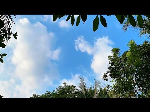 Beautiful Blue Sky Time-lapse | Relaxing Tropical Nature View #nature #relaxing #asmr #sky #clouds