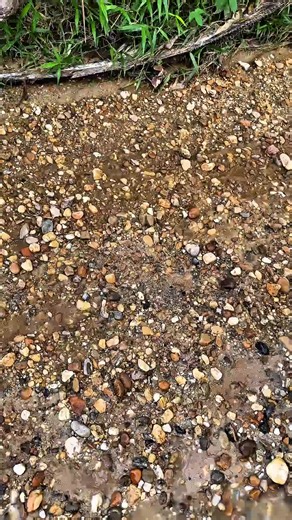 Exploring Gold Mining Techniques and Opportunities