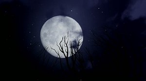 3d Animation Eventually Becomes Obscured By Stock Footage Video (100% Royalty-free) 1022985283 | Shutterstock