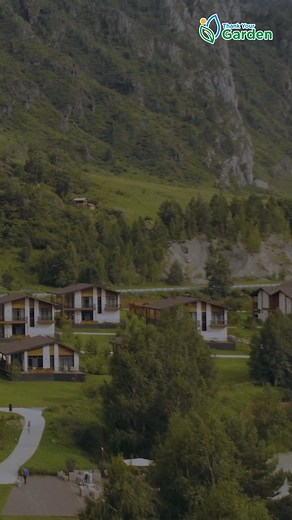 Living near green spaces does more than beautify the area, it can lead to longer, healthier lives! Studies link greenery with lower stress levels, healthier hearts, and even reduced mortality rates. #healthyliving #greenspaces #citylife #natureheals #fblifestyle | Thank Your Garden