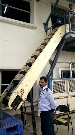 Inclined Chain Pusher Conveyor for Box Handling #doublechainconveyor #chainconveyor #bulk #bulking