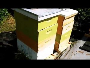 Quick Way Of Making An Upper Entrance / Extra Ventilation On a Beehive - Beekeeping Hack