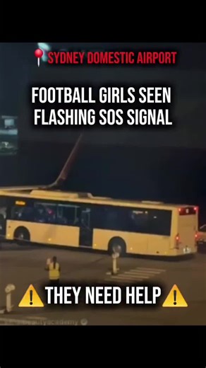 alan_news4 (@alan_news4)’s videos with original sound - alan_news4