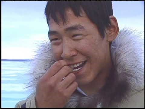 Qulangiqsi (Seal Pups) - Nunavut (Our Land) Series - Episode 7