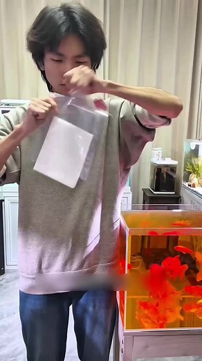 Tissue Cleans Aquarium Water by Accident: Unexpected Clear Water