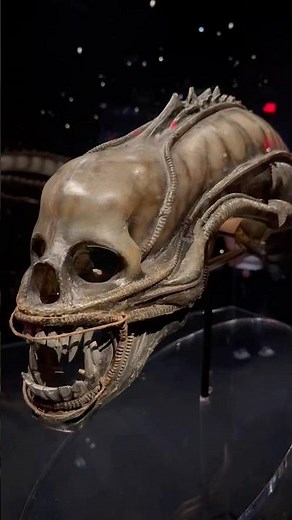 Xenomorph mask from Alien (1979) at the Academy Museum #alienmovie #xenomorph #alienday