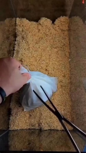 The most ridiculous bad ideas people actually do… #fail #badidea #funny | The Dadbod Veteran