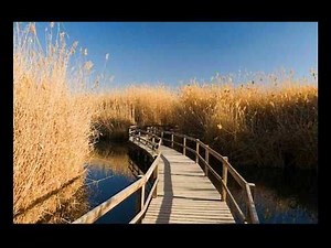 Alabina and The Gypsy Kings-- Ya Habibi Yalla