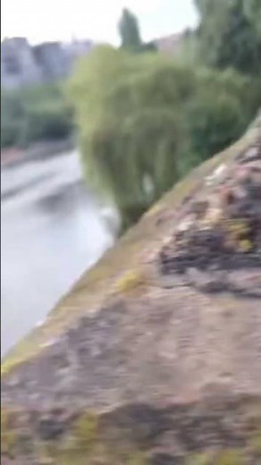 The River Severn - The longest river in Great Britain. #shortsvideo