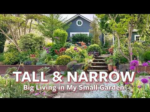 Big Living in My Small Garden 🌿 Tall and Narrow