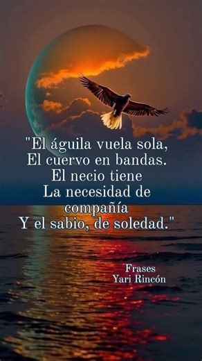 Calidad sobre cantidad. En la quietud de la soledad es donde nacen las mejores ideas y se fortalece el espíritu. 🌊🌑 ​#FraseDelDia #Sabiduría #Autonomía #YariRincón" | Frases