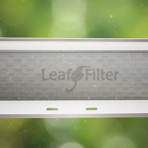 23 reactions | LeafFilter combats so much more than just leaves. Pollen is everywhere in the springtime, and serves as a serious threat to healthy gutters.  It's exactly why our patented system is specifically designed to keep all sorts of seasonal debris out of your gutters... even pollen! https://gutte.rs/3eBX0Gw | LeafFilter Gutter Protection | Facebook