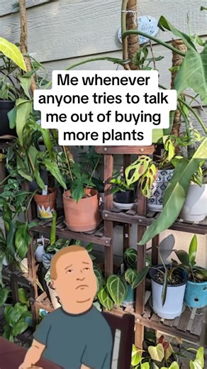 I hear the words you’re saying, but I’m not going to listen to them 😜🪴 #simplegrowsolutions #planttok #houseplants #plantmom #CapCut