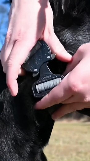 26 reactions · 4 comments |  Strength Meets Comfort with Our...