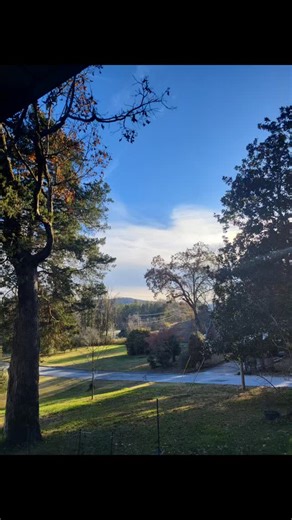 Today I’m thankful for the blessing of living in east Tennessee. 🏞️💛 God brought us here—plain and simple. We were so excited when the Lord revealed His will and opened the door to this home. 🏡✨ Life truly feels more joyful and full here, and I’m grateful every day. 🙏💛 #torchlightcottage #smallhomesteader #thankful🙏🙏🙏 #life | Carol Palmer
