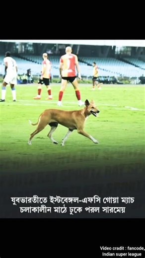 Dog on the field 🤣🏟️ #shorts #eastbengal #dog