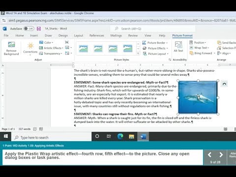 Word 1A and 1B Simulation Exam | Sharks: Myth or Facts | SIMnet | Pearson