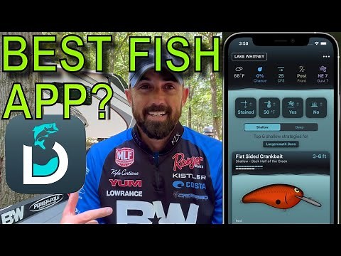 Best Fishing App? Review of the Deep Dive App by Fish the Moment