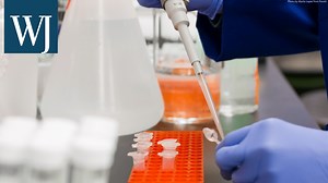 49K views · 13 reactions | President Biden's COVID-19 response team provides updates on pandemic numbers and vaccine rollout statistics. | Western Journal TV | Facebook