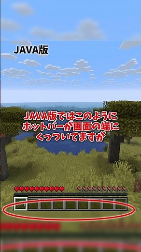 [Minecraft] How to tell the Bedrock and Java editions apart
