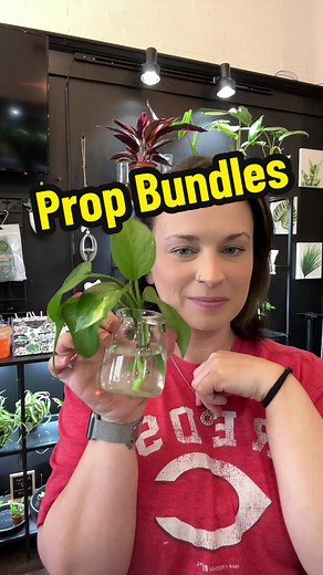 Prop Bundles for Fuller, Bushier Plants | Houseplant Tips