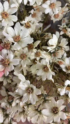 Spring Home Decor Ideas You’ll Love