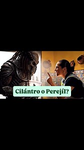 La diferencia principal entre cilantro y perejil reside en su sabor, aroma y forma de las hojas. El cilantro tiene un sabor fuerte y cítrico, mientras que el perejil es más suave y terroso. Además, las hojas del cilantro son más redondeadas, y las del perejil, más puntiagudas. | Peladito y a la boca podcast