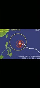 siêu bão tip 1979 là siêu bão có đường kính to nhất trong lịch sử nhân loại😱😱😱#shorts#thoitiet#edit