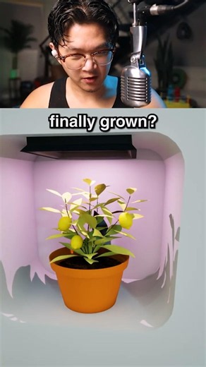 When Life Gives you Lemons