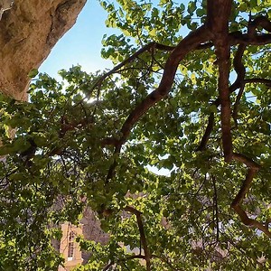 20M views · 1.8M reactions | World’s Oldest Christian Village - Maaloula - Travel Vlog | Part 2 | Yahya Khan | Facebook