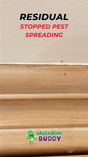 This Stops Bed Bugs From Spreading