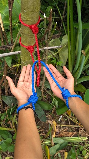 Ancient Bandit Knot Escape|| How People Escaped an Ancient Bandit's Knot in Seconds!