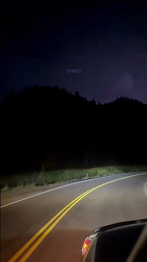 Live from Estes Park. Holy lightning! ⚡️ Go home little fox… it’s wild out here!