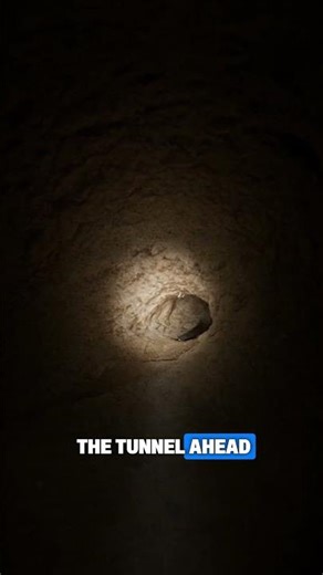 Inside a Tuco-Tuco Burrow | Hidden Beneath the Sand