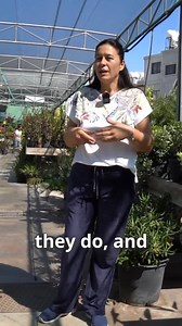 405 reactions · 9 comments | At Begonia Garden Center you’ll find...