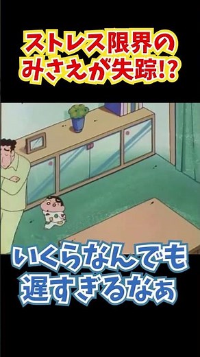 ストレス限界のみさえが失踪!?『母ちゃんの家出だゾ』#クレヨンしんちゃん #野原しんのすけ #野原みさえ #野原ひろし #野原ひまわり #爆笑