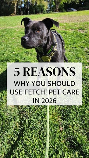 Why choose Fetch! in 2026? ✔️ Background-checked, trained sitters ✔️ GPS-tracked walks photo updates ✔️ Fully customizable services ✔️ Local, reliable, pet-loving pros Your pet. Our passion. Every single day. | Fetch! Pet Care of Sarasota