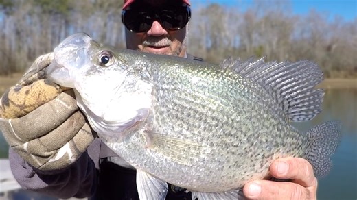 A Crappie Fishing Jig Secret! Catch Loads Of Fish In The Winter! #fishing #Outdoors #crappiefishing #crappie | Richard Gene The Fishing Machine