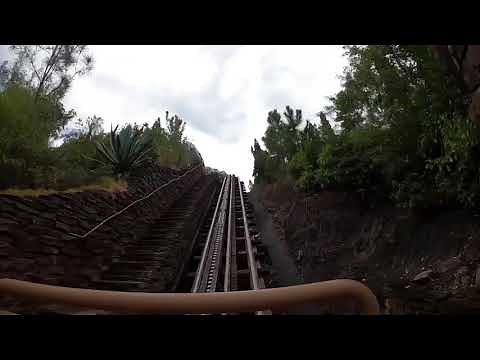 RARE Expedition Everest Lights on!
