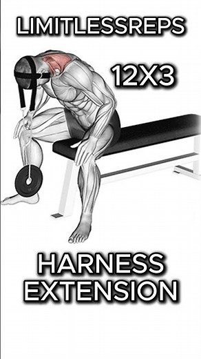 Neck Strength Builder | Powerful Neck Workout