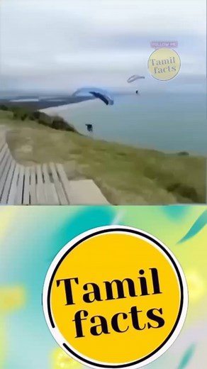110K views · 3.8K reactions | Facts in Tamil Reels 122 FB @Tamilfactss Insta @Tamilfactss_ #tamilmeme #tamilnews #tamilvideo #tamil #tamilstatus #taamilan #kollywood #tamilmemes #love #tamilnadu #tamilcomedy #tamilmovies #trending #bgm #kerala #malayalam #india #chennai #bangalore #tamilnews #tamilfactss #fact #facts #interesting #tamilfactss | Tamil Facts | Facebook